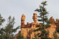 Bryce Canyon N.P. - Salt and Pepper