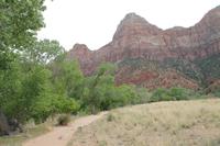 Zion N.P.