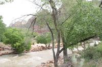 Spaziergang durch den Zion N.P. 