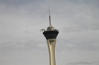 Fahrt nach Las Vegas