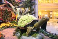 Las Vegas Strip - Bellagio Hotel