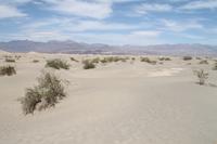 Death Valley - Sanddünen