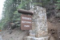 Yosemite N.P.