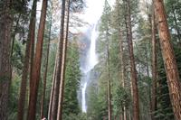 Yosemite N.P. - Yosemite Wasserfall