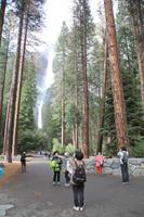 Yosemite N.P. - Yosemite Wasserfall