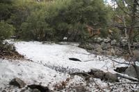 Yosemite N.P. - Yosemite Wasserfall