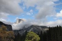 Yosemite N.P. 