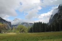 Yosemite N.P. 