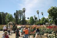 Sacramento - Stadtpark