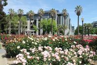 Sacramento - Stadtpark