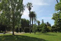 Sacramento - Stadtpark