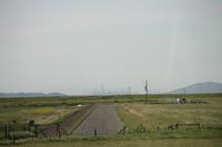 Fahrt zum Miur Woods N.P.