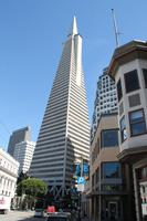 San Francisco - Transamerica Pyramid  