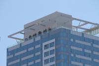 San Francisco - Stadtrundfahrt