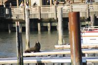 San Francisco - Pier 39