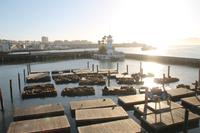 San Francisco - Pier 39