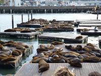 San Francisco - Fisherman´s Warf