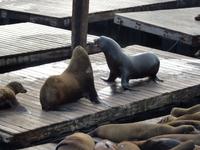 San Francisco - Fisherman´s Warf