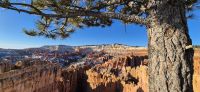 141 Morgenstimmung Sunset Point Bryce Canyon