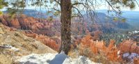 143 Bryce Canyon am Morgen