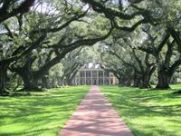 Oak Alley Plantage