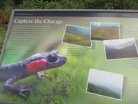 Great Smoky Mountains