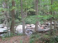 Great Smoky Mountains