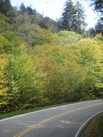 Great Smoky Mountains