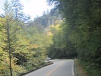 Great Smoky Mountains