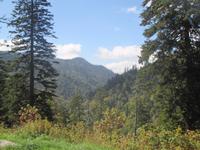 Great Smoky Mountains