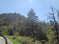 Great Smoky Mountains