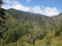 Great Smoky Mountains