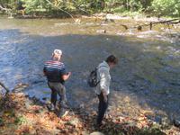 Great Smoky Mountains