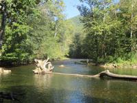 Great Smoky Mountains