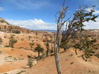 Bryce Canyon