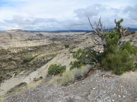 Grand Staircase Escalante