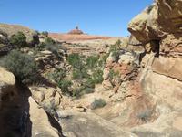 Canyonland The Needles