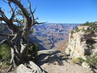 Ooh Aah Point Grand Canyon