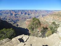 Grand Canyon Rim