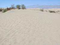 Dünen im Death Valley