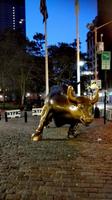 Charging Bull am Morgen - ohne andere Besucher