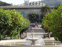 San Francisco - im Golden Gate Park