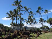 Kauai - Kultstätte am Lydgate Beach