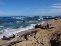 Kauai - am Lydgate Beach