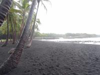 Inselrundfahrt auf Big Island - schwarzer Sandstrand bei Punalu'u