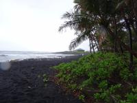 Inselrundfahrt auf Big Island - schwarzer Sandstrand bei Punalu'u
