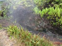 Inselrundfahrt auf Big Island - 