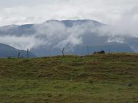 Inselrundfahrt auf Big Island - auf dem Weg zur Parker Ranch