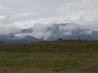 Inselrundfahrt auf Big Island - auf dem Weg zur Parker Ranch