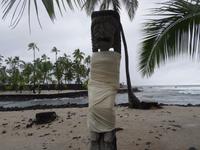 Historische Big Island Tour - Pu'uhonua 'o Honaunau = Stadt der Zuflucht
